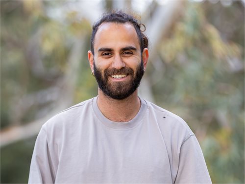 דן אור