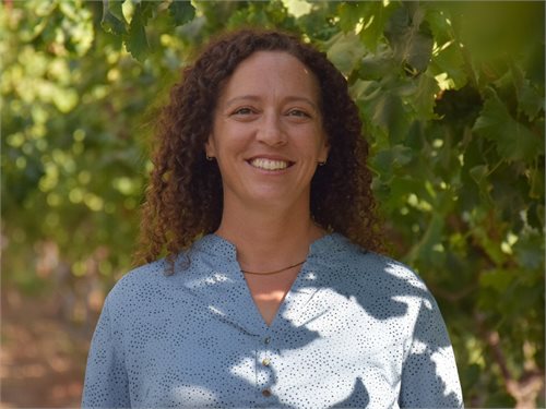 מיכל דבש ארמוני